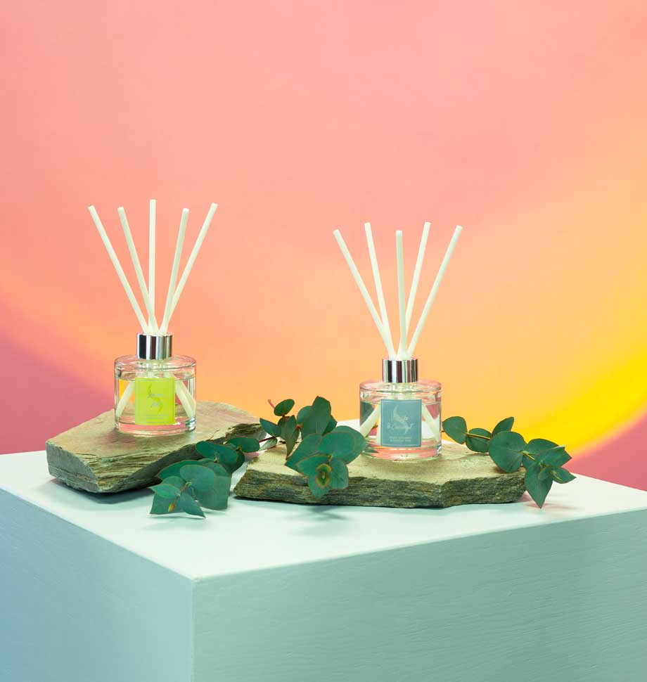 Vanilla & Coconut Shearers Reed Diffuser 100ml Gift 𝗥𝗥𝗣 £𝟮𝟬 Be You Lifestyle Boutique